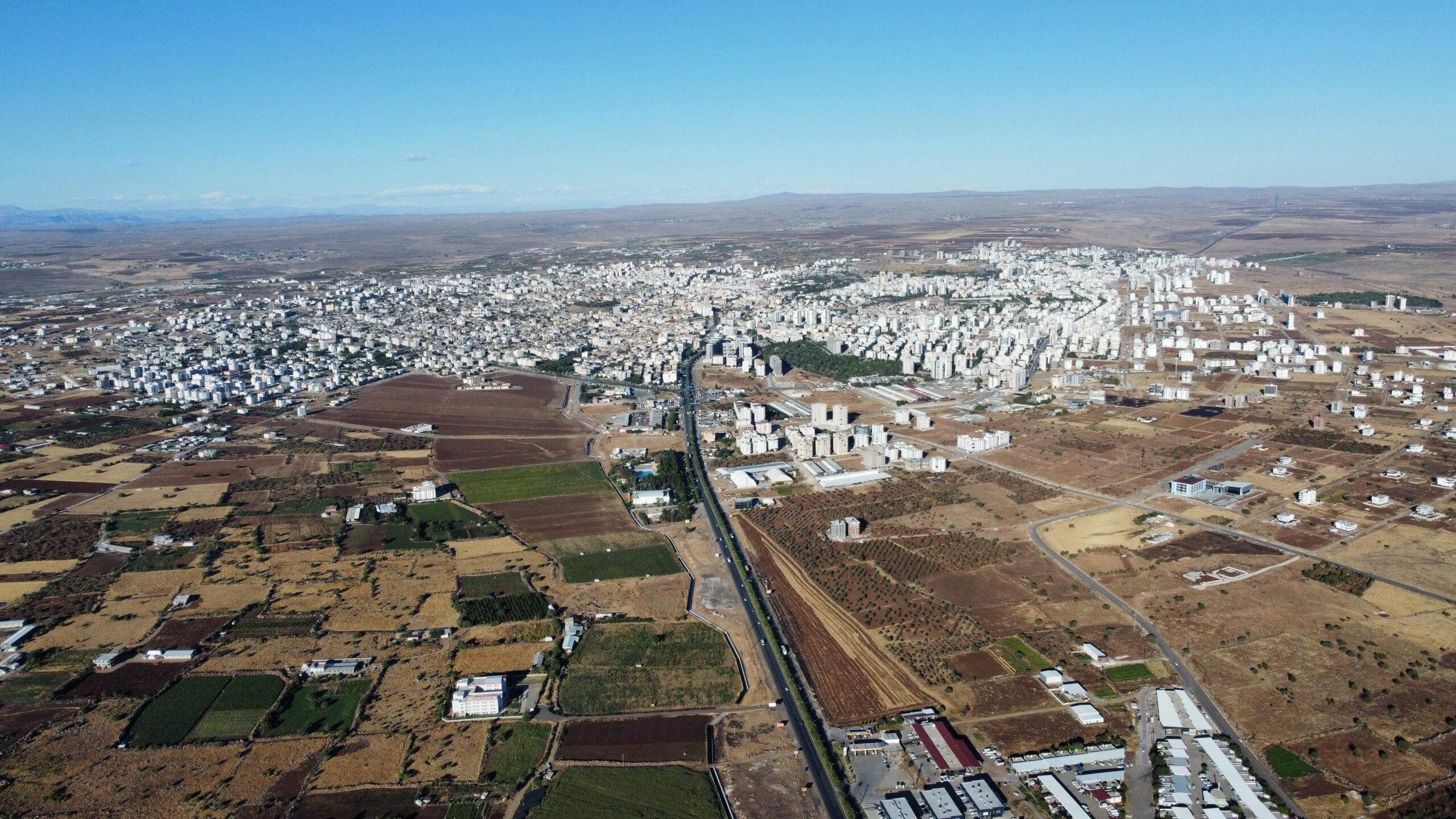 WhatsApp Image 2024-10-28 at 13.59.56 (1)